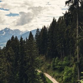 Einsamer Bike-Trail in der Region Zermatt.