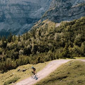 Fahrradfahrer auf einem abwechslungsreichen Trail in Zermatt, der durch dichte Wälder und über felsige Abschnitte führt.